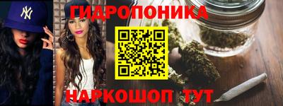 мдпв Янаул